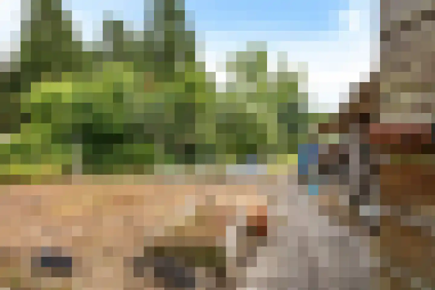 Noorderdiep 298 A Nieuw-Buinen thumbnail 38