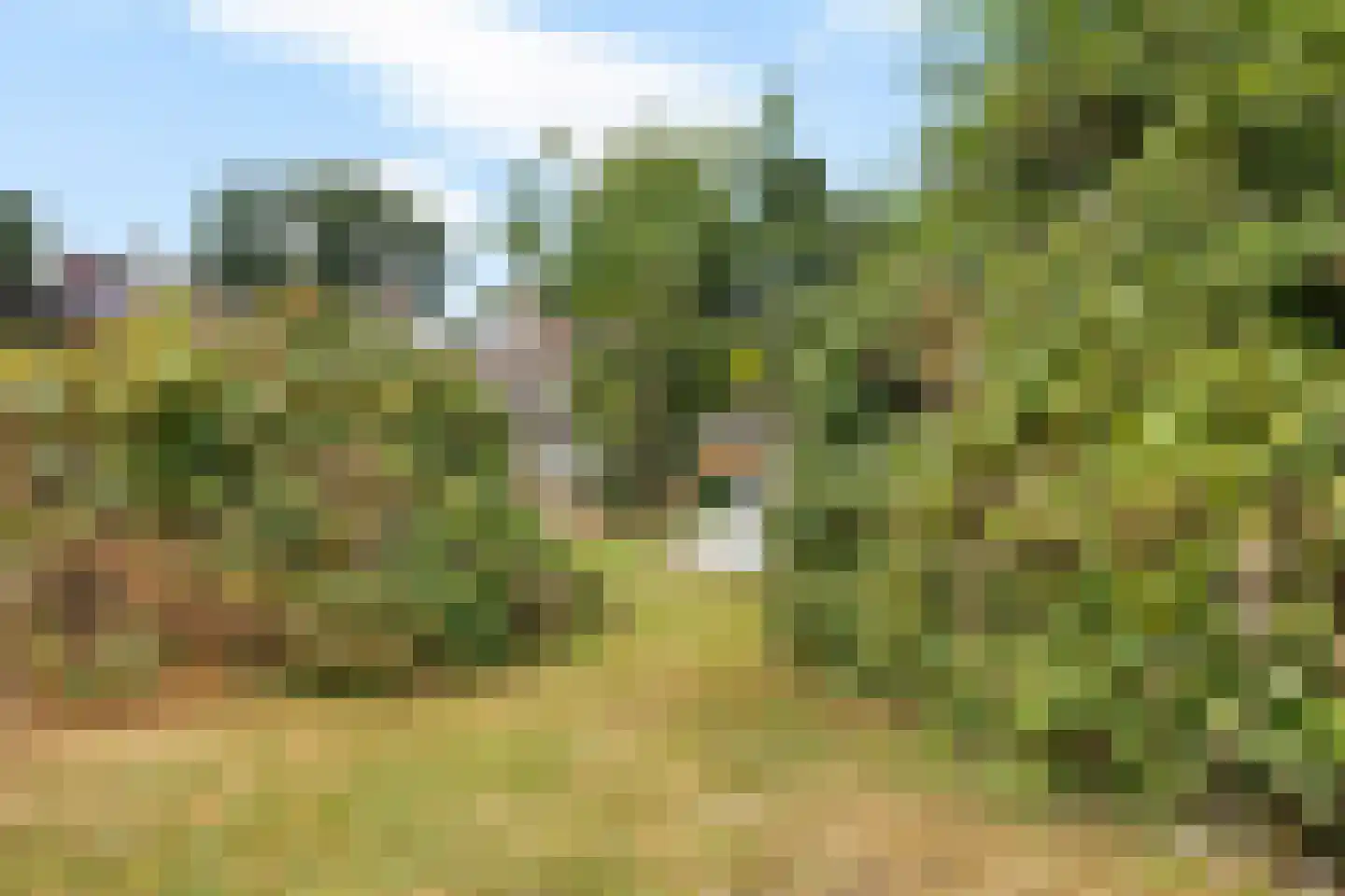 Noorderdiep 298 A Nieuw-Buinen thumbnail 39