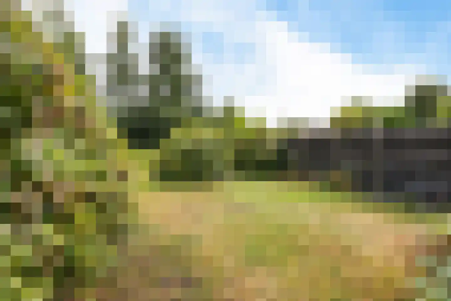 Noorderdiep 298 A Nieuw-Buinen thumbnail 40