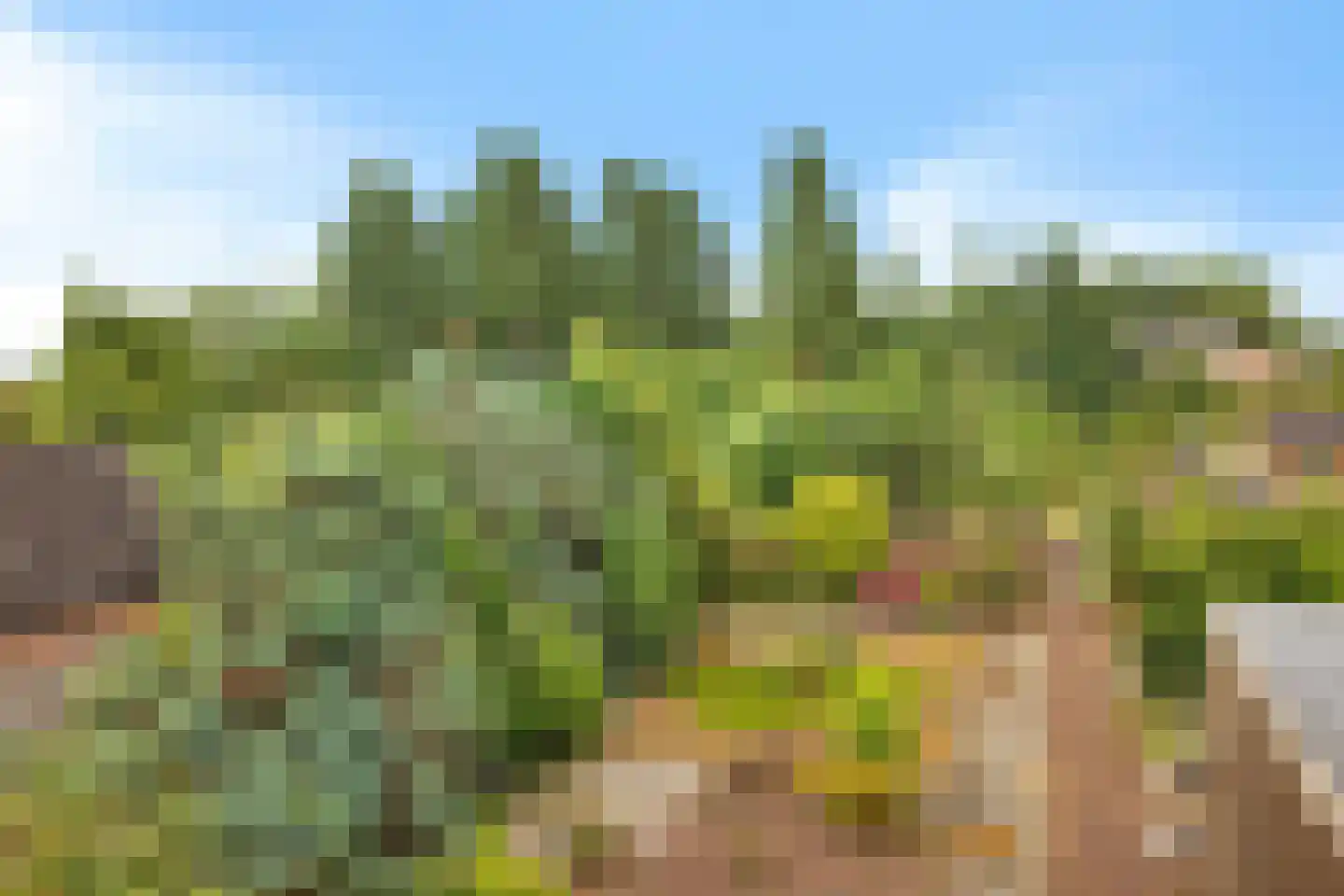 Noorderdiep 298 A Nieuw-Buinen thumbnail 44