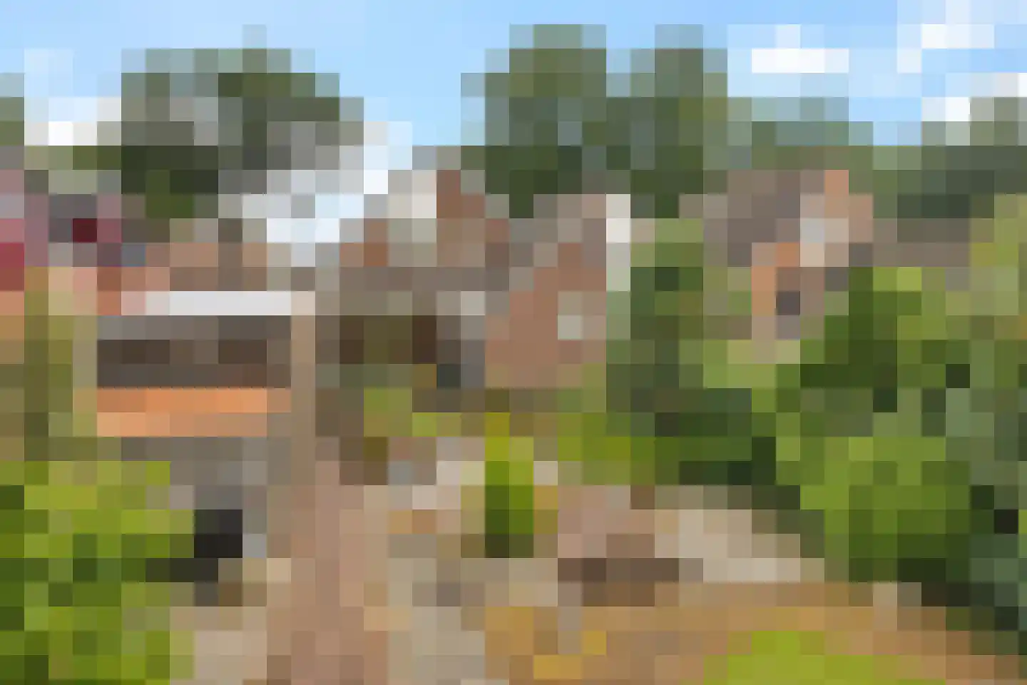 Noorderdiep 298 A Nieuw-Buinen thumbnail 45