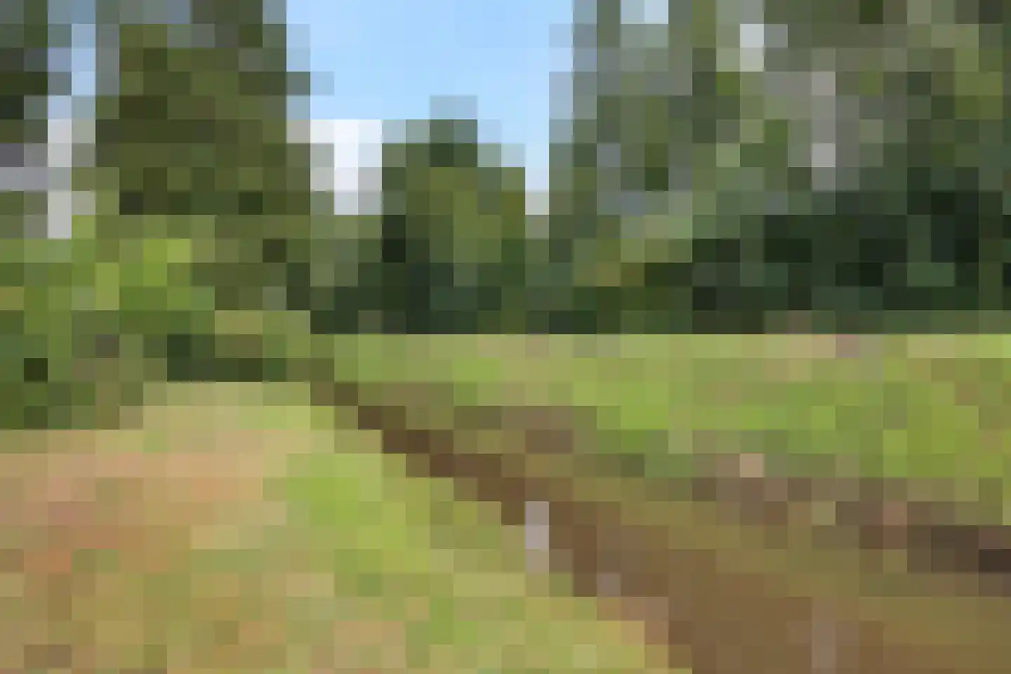 Noorderdiep 298 A Nieuw-Buinen thumbnail 47