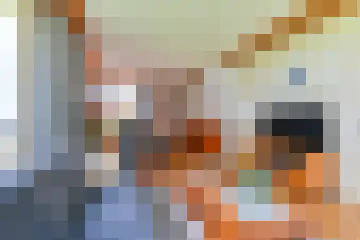 Noorderdiep 353 Valthermond thumbnail 12