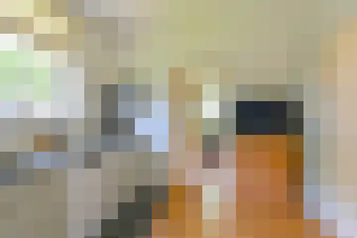 Noorderdiep 353 Valthermond thumbnail 17
