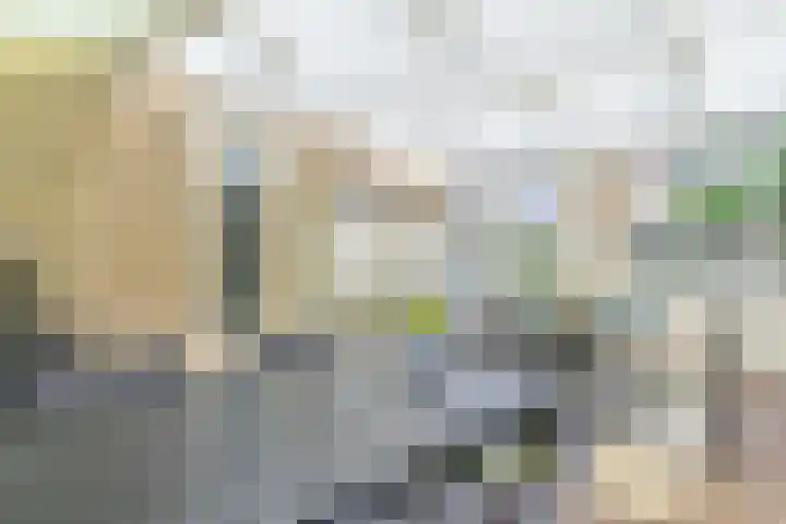 Noorderdiep 353 Valthermond thumbnail 35