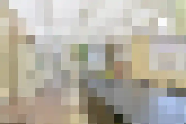 Noorderdiep 353 Valthermond thumbnail 36