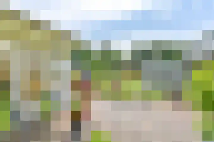 Noorderdiep 353 Valthermond thumbnail 39