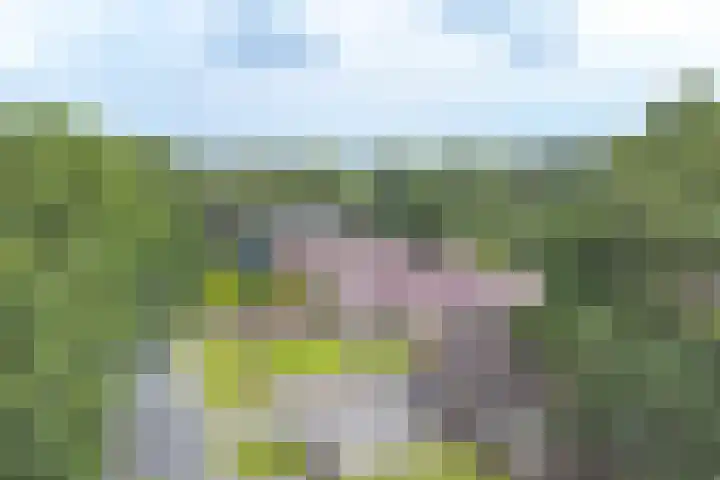 Noorderdiep 353 Valthermond thumbnail 4