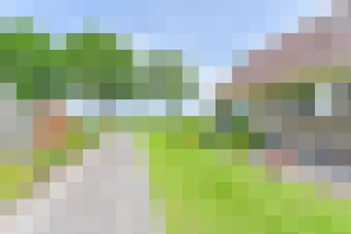 Noorderdiep 353 Valthermond thumbnail 55