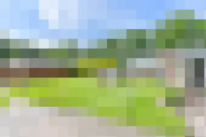 Noorderdiep 353 Valthermond thumbnail 56