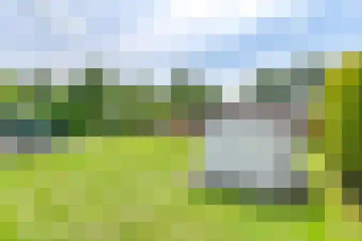 Noorderdiep 353 Valthermond thumbnail 60