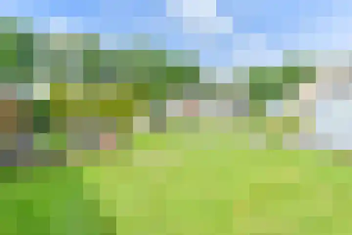 Noorderdiep 353 Valthermond thumbnail 61