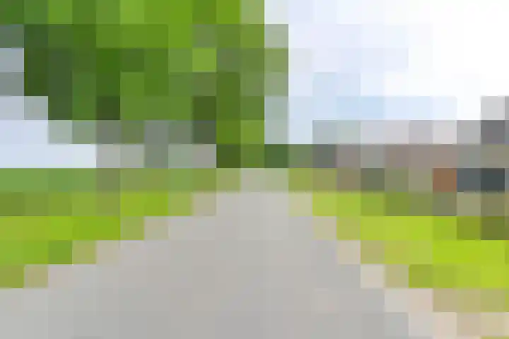 Noorderdiep 353 Valthermond thumbnail 62