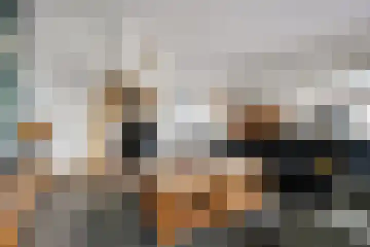 Noorderdiep 354 Nieuw-Buinen thumbnail 10