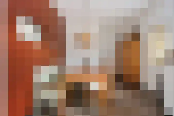 Noorderdiep 354 Nieuw-Buinen thumbnail 14