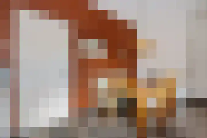 Noorderdiep 354 Nieuw-Buinen thumbnail 15