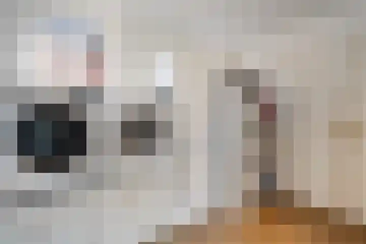 Noorderdiep 354 Nieuw-Buinen thumbnail 18