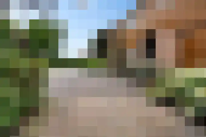 Noorderdiep 354 Nieuw-Buinen thumbnail 36