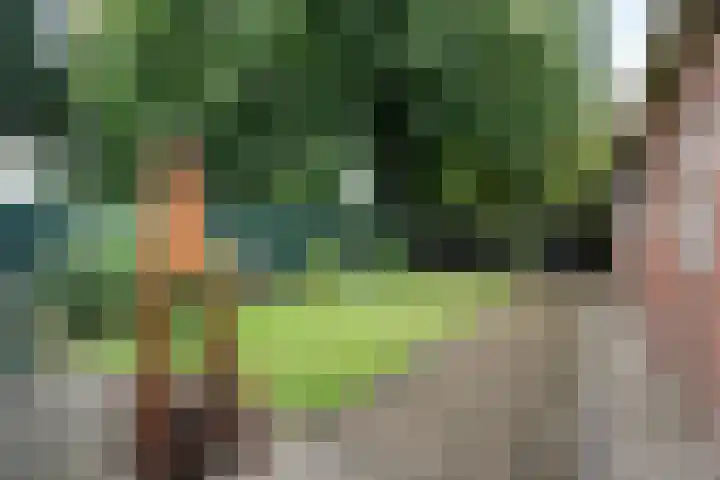 Noorderdiep 354 Nieuw-Buinen thumbnail 37