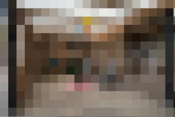 Noorderdiep 354 Nieuw-Buinen thumbnail 38
