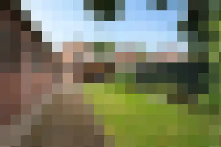 Noorderdiep 354 Nieuw-Buinen thumbnail 41