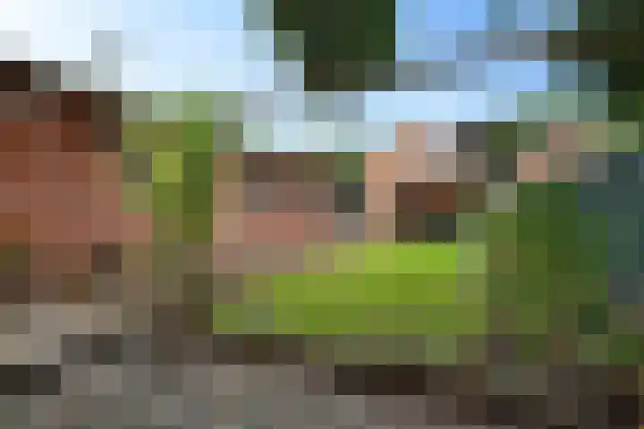 Noorderdiep 354 Nieuw-Buinen thumbnail 42