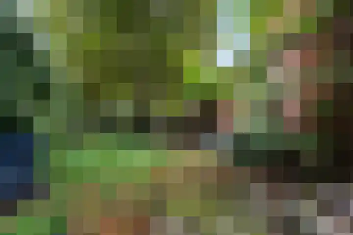 Noorderdiep 354 Nieuw-Buinen thumbnail 43