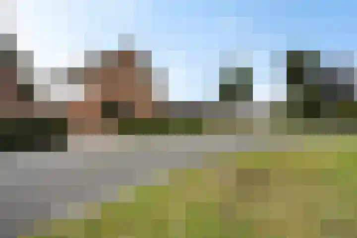Noorderdiep 354 Nieuw-Buinen thumbnail 46
