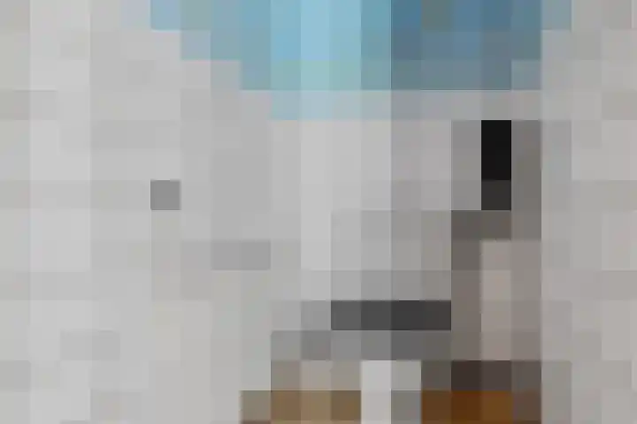Noorderdiep 39 Valthermond thumbnail 11