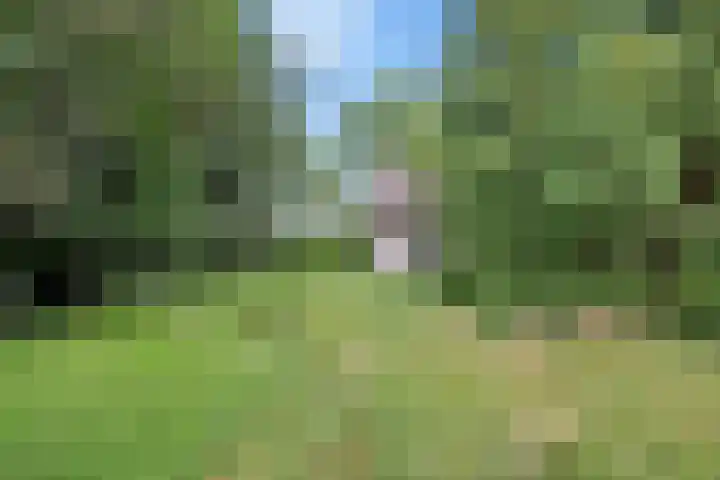 Noorderdiep 39 Valthermond thumbnail 20