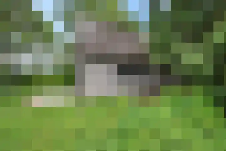 Noorderdiep 39 Valthermond thumbnail 21