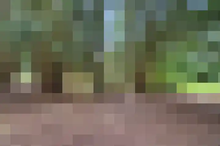 Noorderdiep 39 Valthermond thumbnail 23