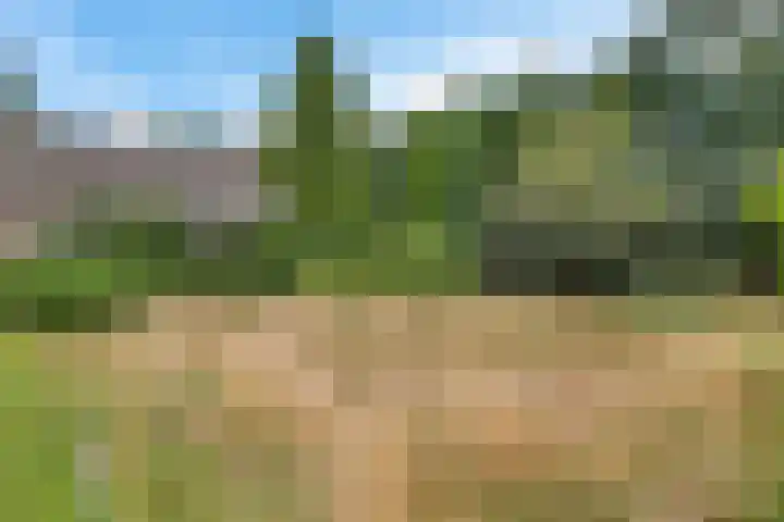 Noorderdiep 39 Valthermond thumbnail 24