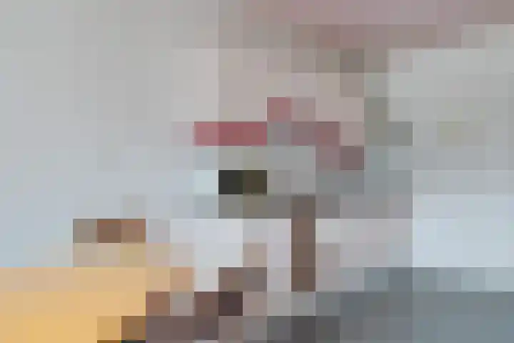 Noorderdiep 39 Valthermond thumbnail 7