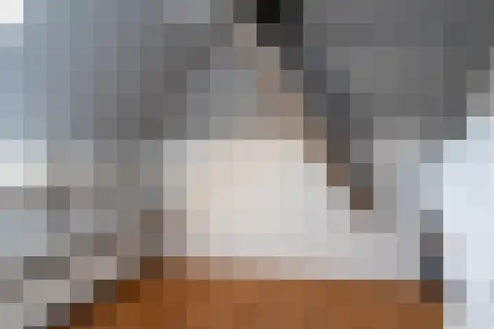 Noorderdiep 390 Nieuw-Buinen thumbnail 26