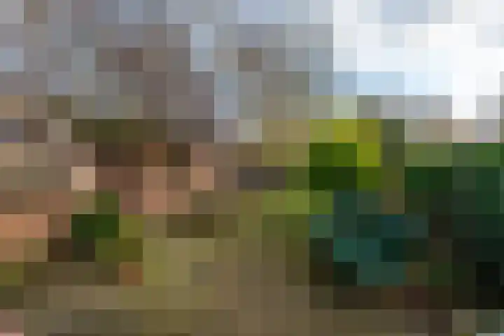Noorderdiep 390 Nieuw-Buinen thumbnail 32
