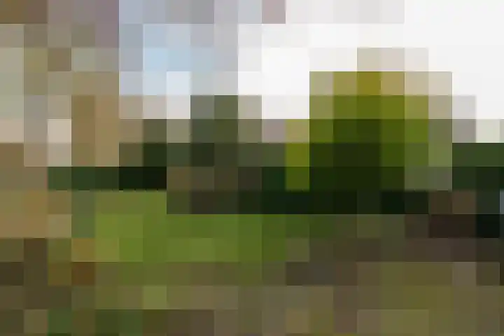 Noorderdiep 390 Nieuw-Buinen thumbnail 33