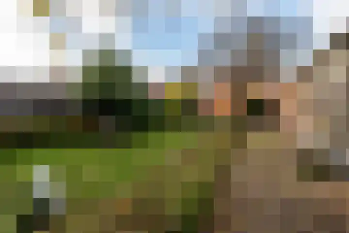 Noorderdiep 390 Nieuw-Buinen thumbnail 36