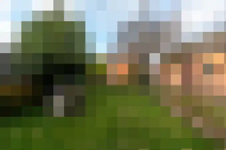 Noorderdiep 390 Nieuw-Buinen thumbnail 37