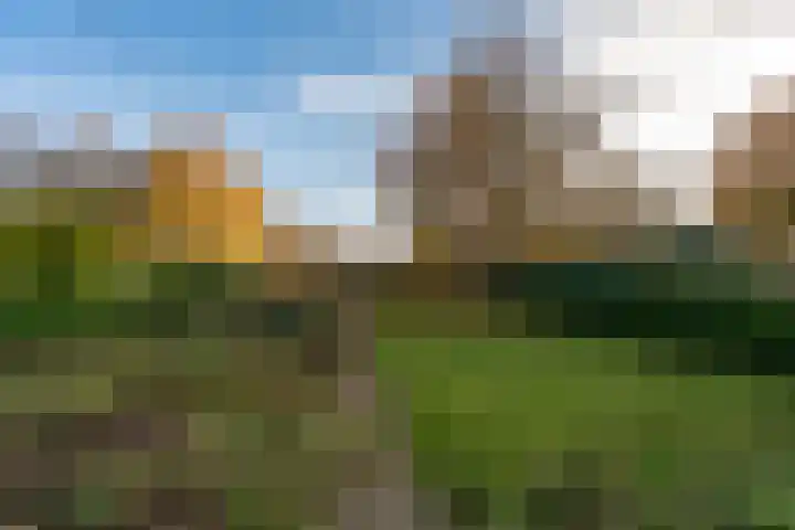 Noorderdiep 390 Nieuw-Buinen thumbnail 38