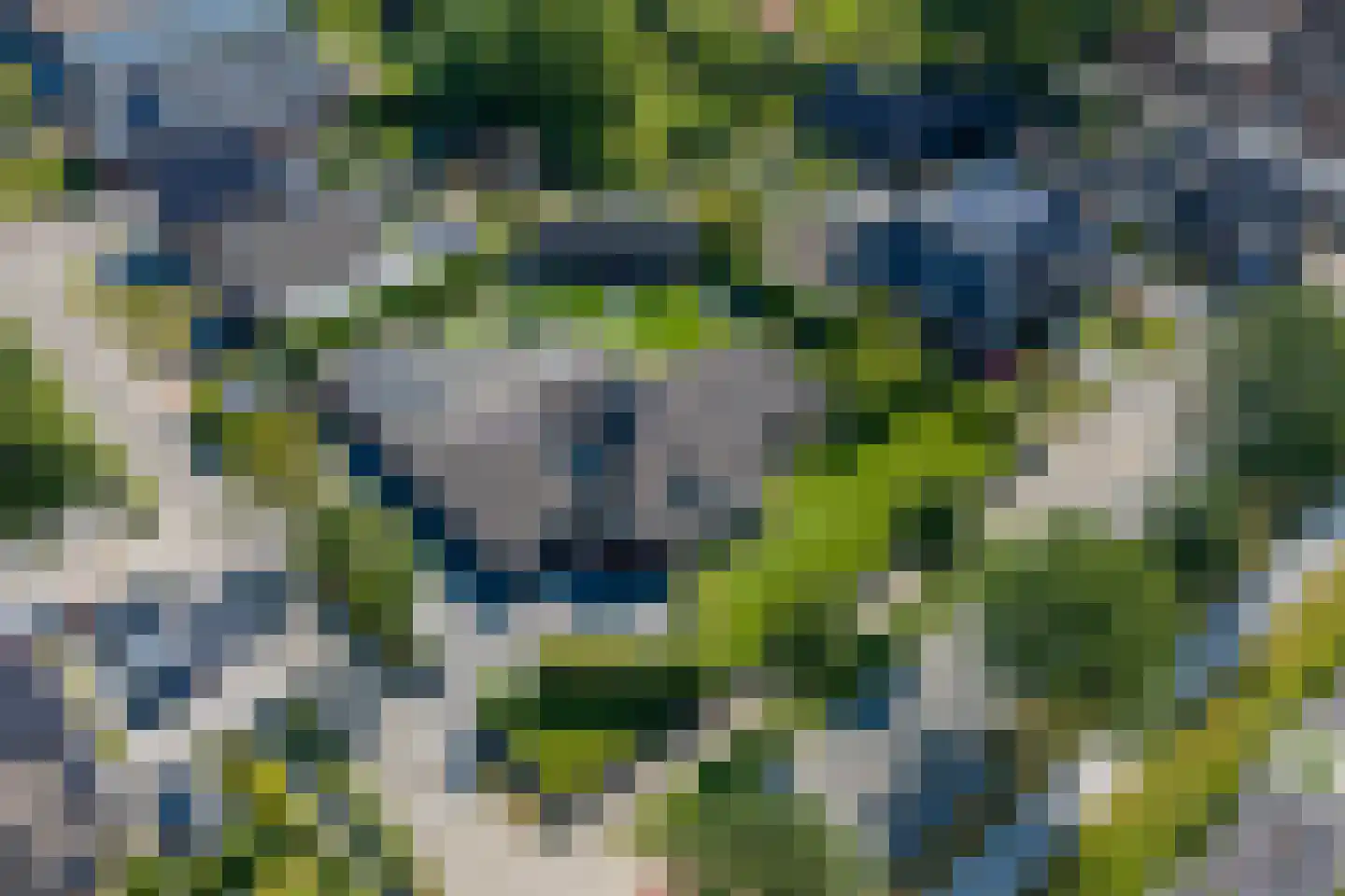 Noorderdiep 408 Nieuw-Buinen thumbnail 124