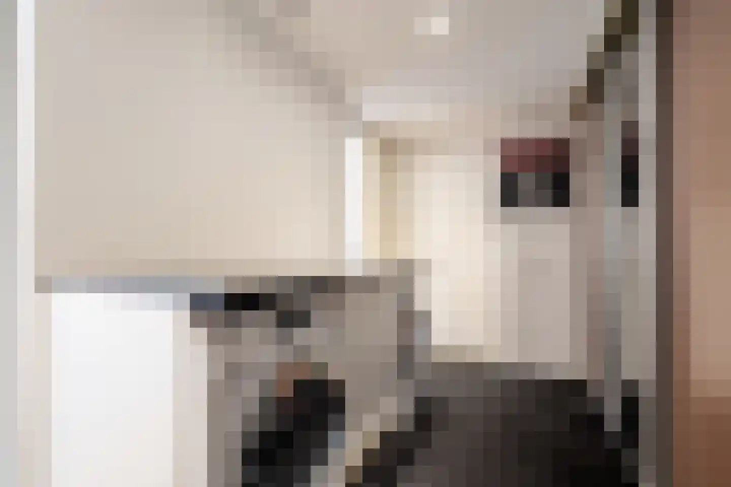Noorderdiep 408 Nieuw-Buinen thumbnail 49