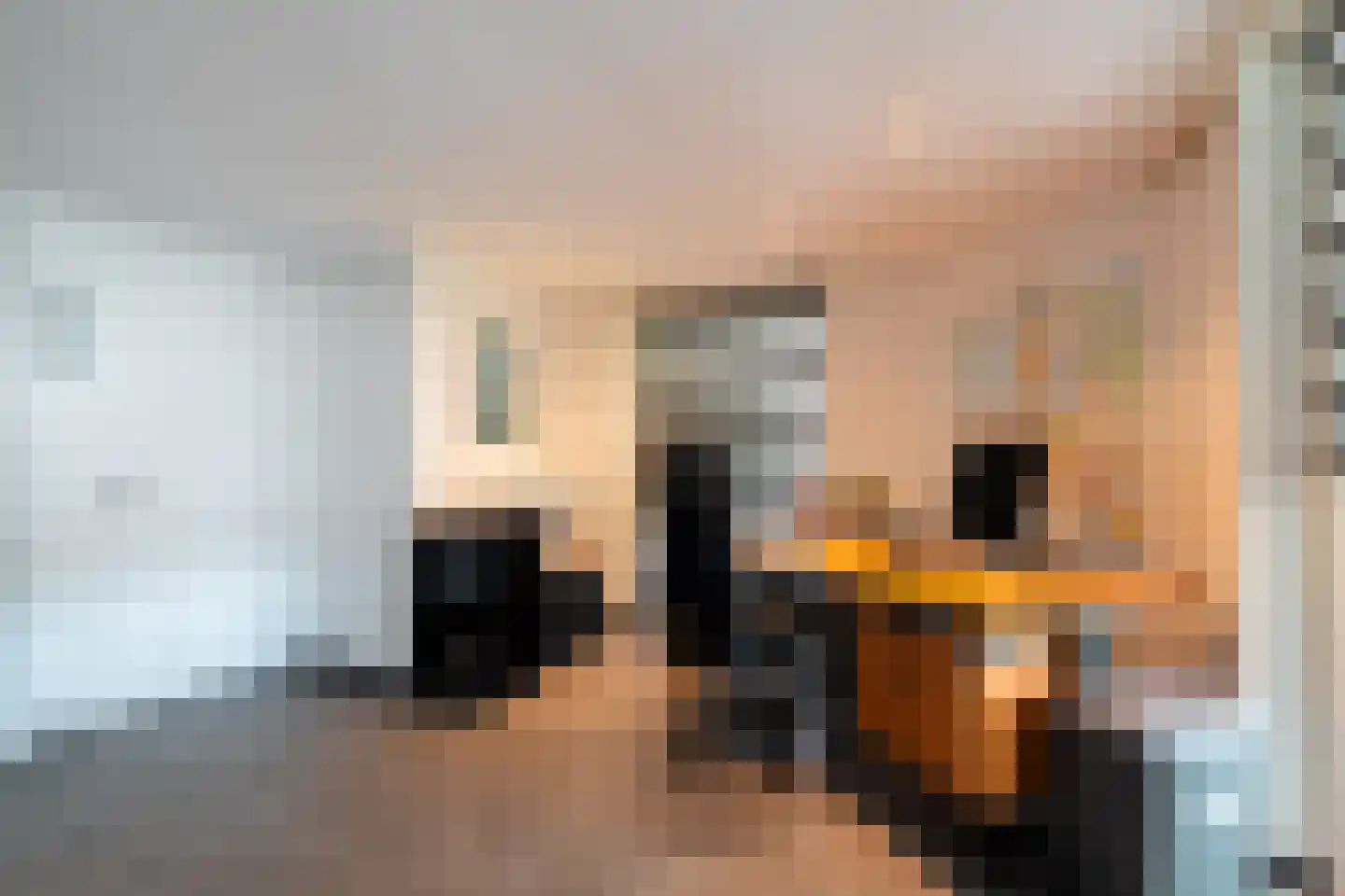 Noorderdiep 408 Nieuw-Buinen thumbnail 66