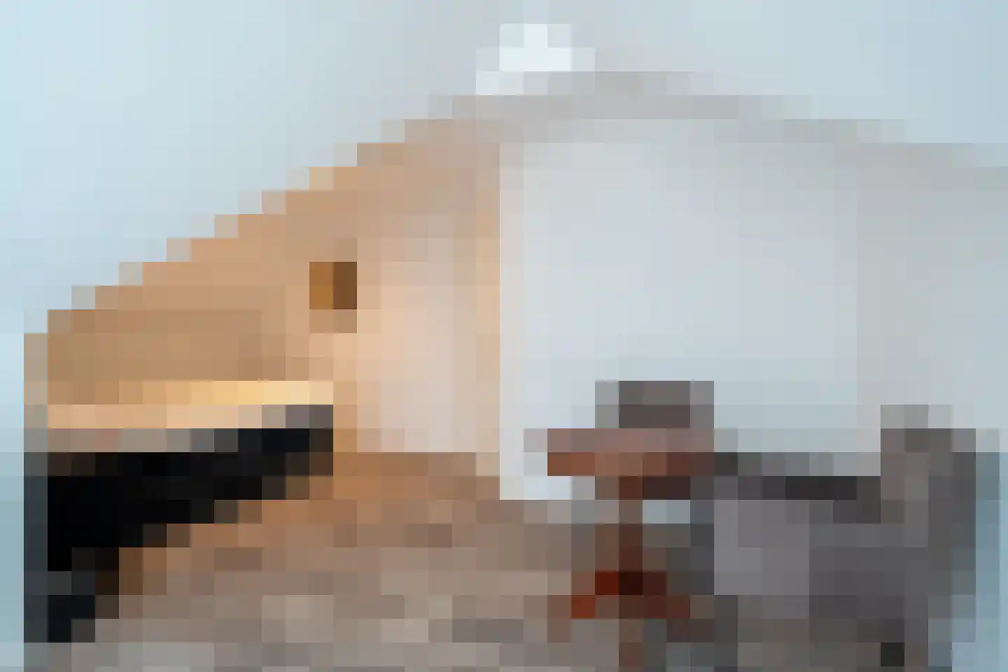 Noorderdiep 408 Nieuw-Buinen thumbnail 80