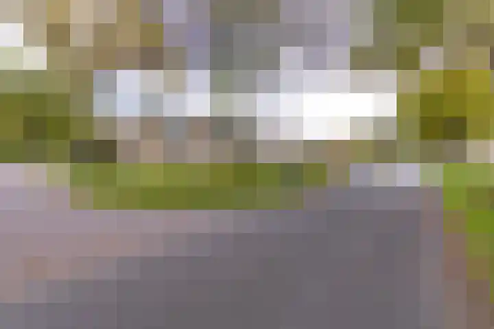 Noorderdiep 433 A Valthermond thumbnail 10