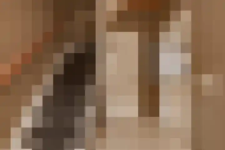 Noorderdiep 433 A Valthermond thumbnail 22