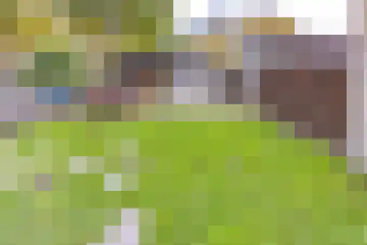 Noorderdiep 433 A Valthermond thumbnail 34