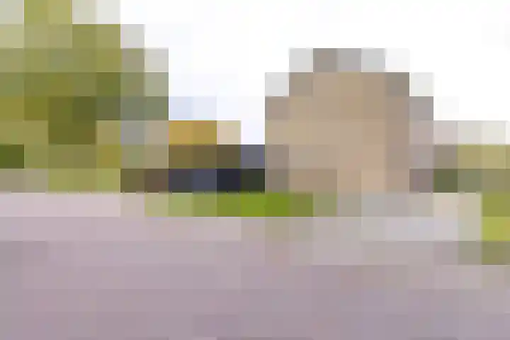 Noorderdiep 433 A Valthermond thumbnail 8