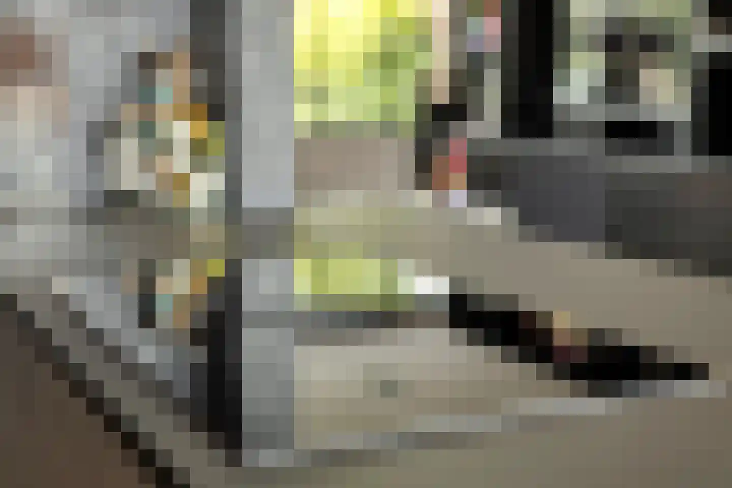 Noorderdiep 44 Zwijndrecht thumbnail 11