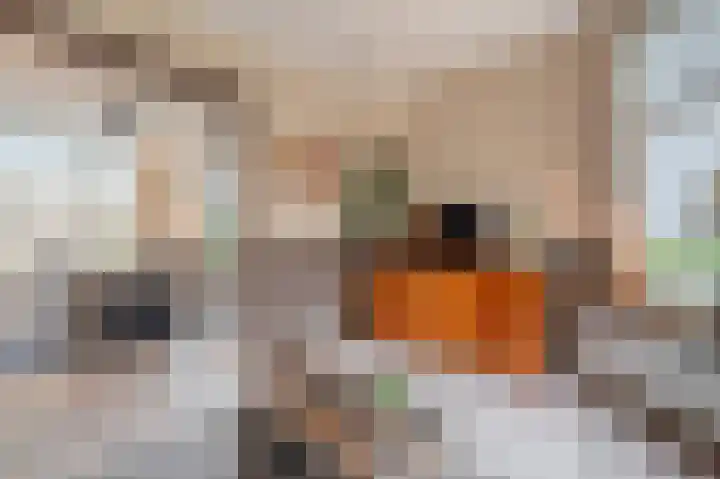 Noorderdiep 450 Nieuw-Buinen thumbnail 18